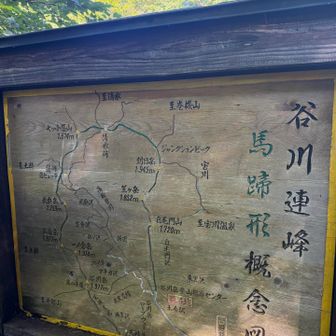 馬蹄形のはじまり🐴