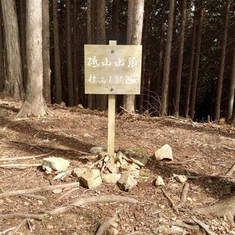 砥山（とやま）山頂を踏んで下山します