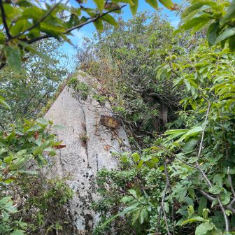こっちがほんとの山頂
