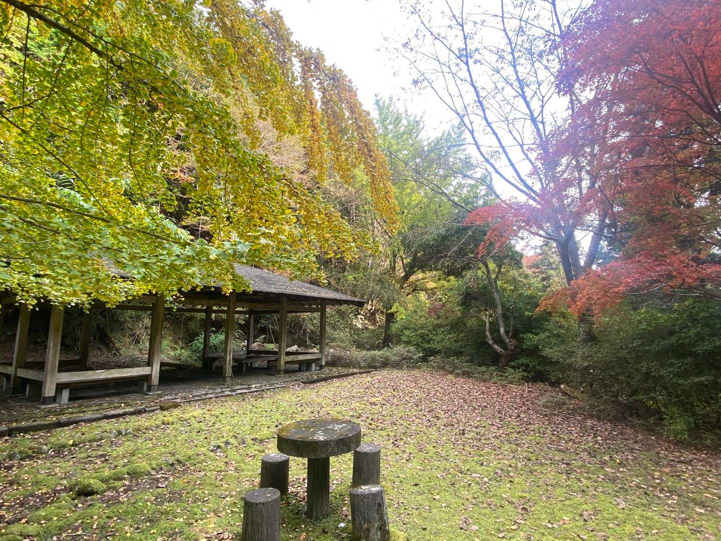 無事に下山。ここが一番紅葉してました🍁