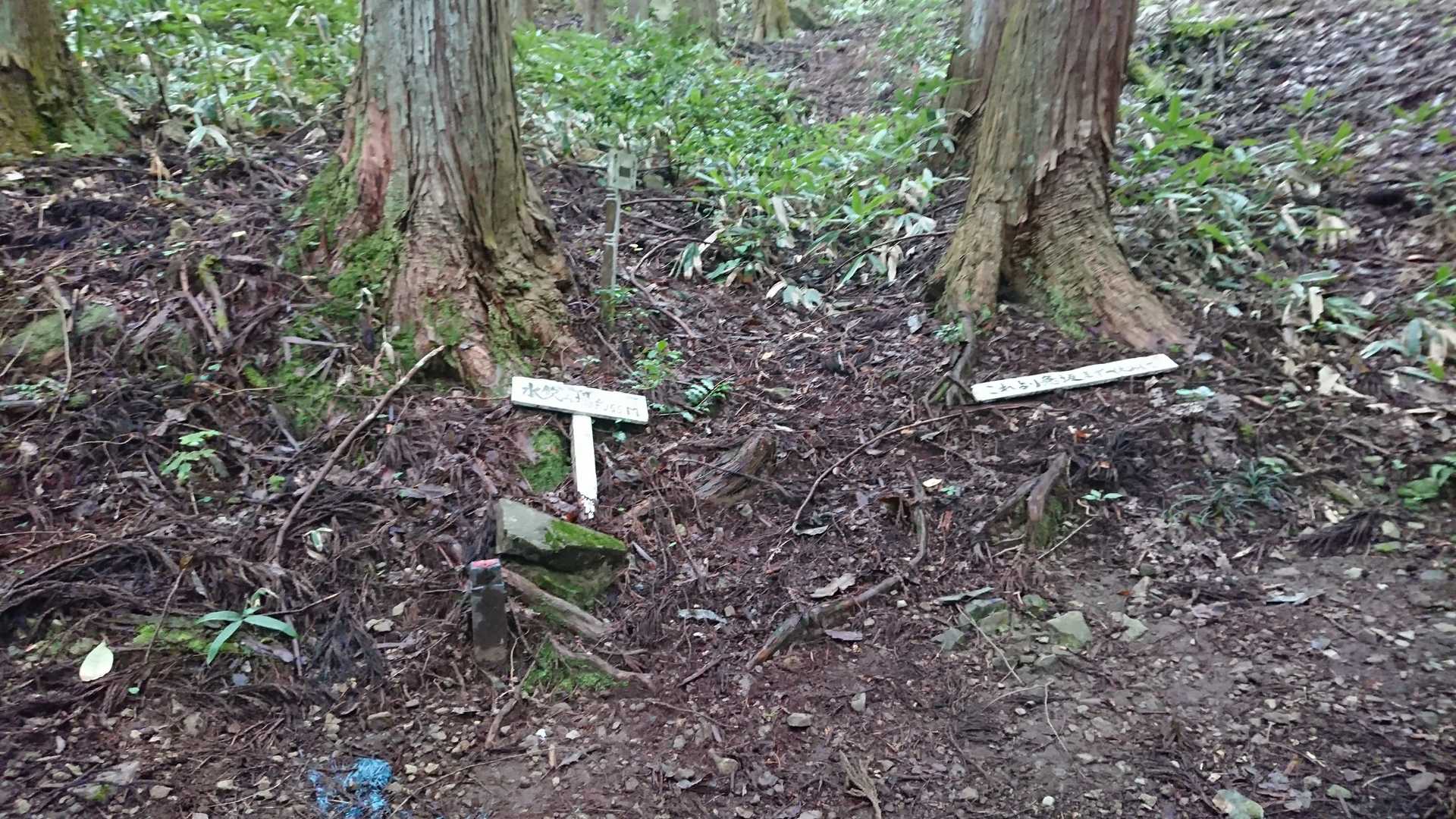 水場がどこかにある様ですが左かな 右が山頂