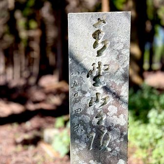 立派な山頂標識碑がありました♪
かつては 人気のお山だった名残りが多数😅