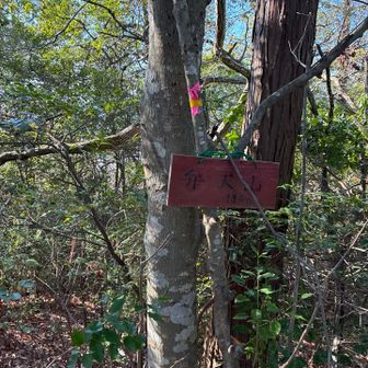 やはり急登でした。何とか到着。帰りの方が怖かったけど何とか転ばずに済みました。