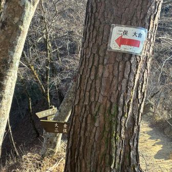 長い下りが終わる頃にバス停へ向かう分岐があります