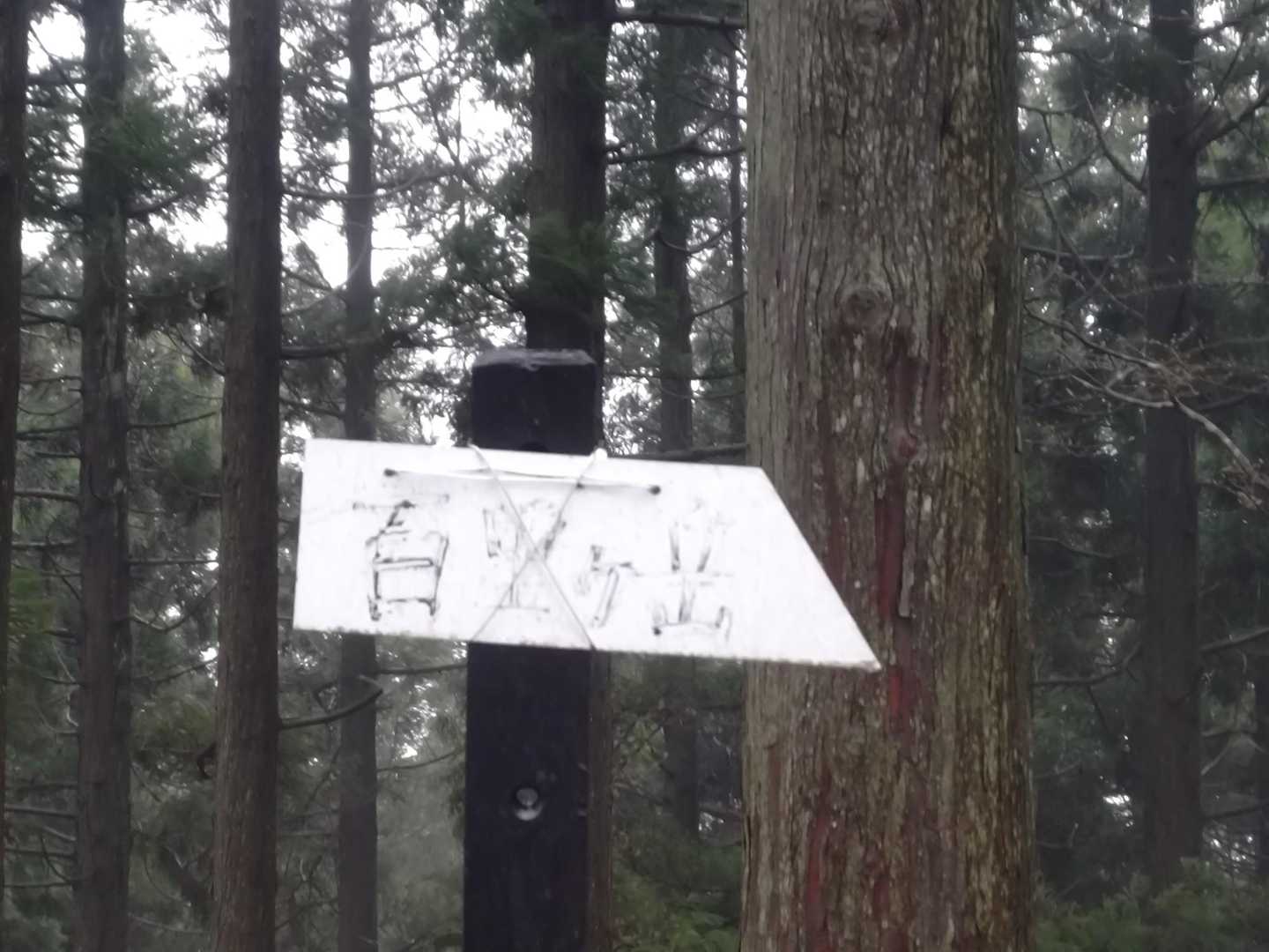 山頂は右方向
