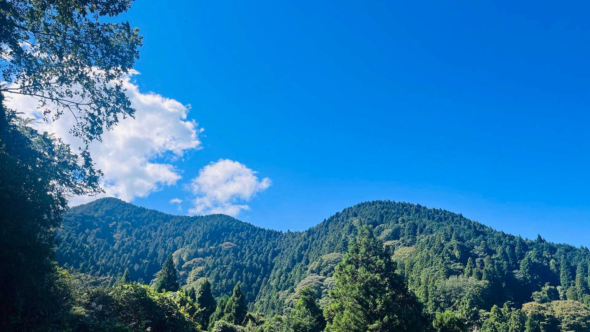 今日も良いお天気☀️