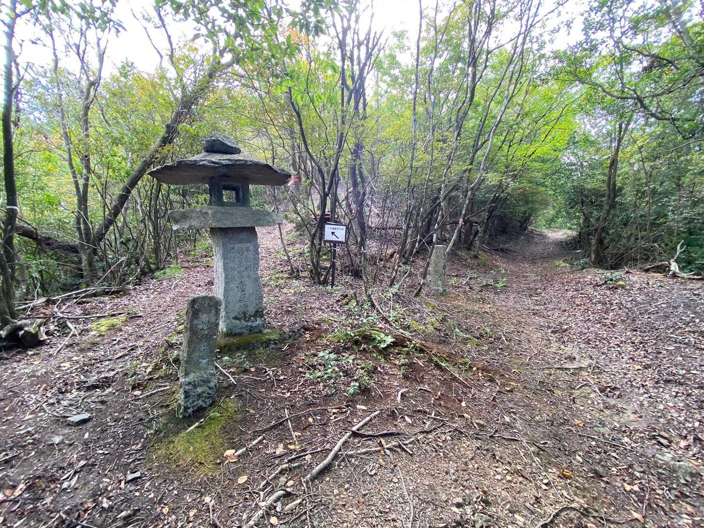 下りてきた道を振り返って
