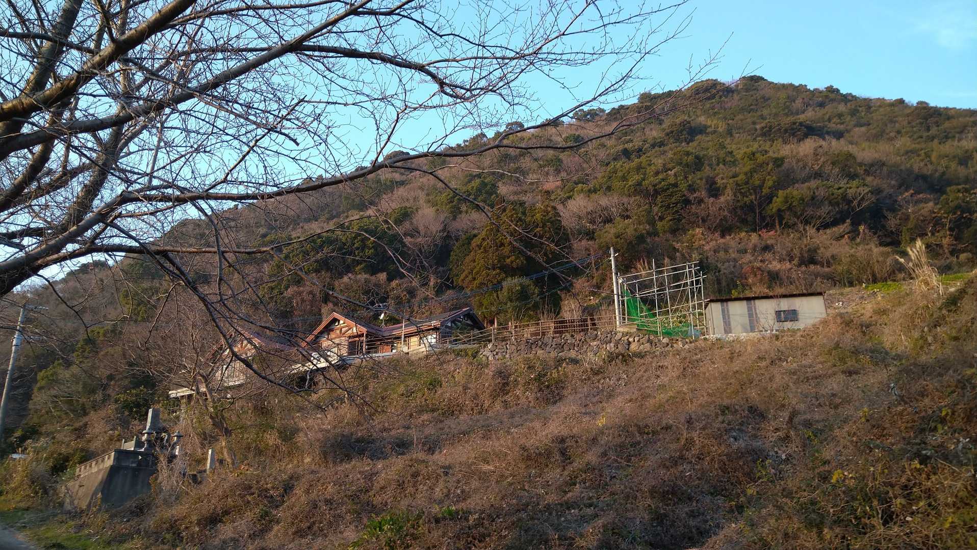 柴尾山 往復コースの写真