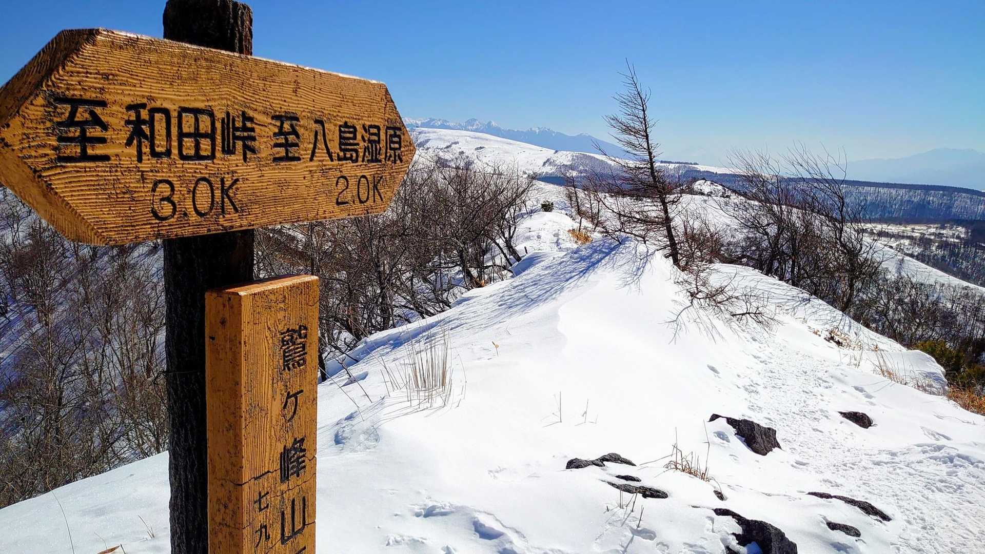 鷲ヶ峰山頂から八ヶ岳と富士山