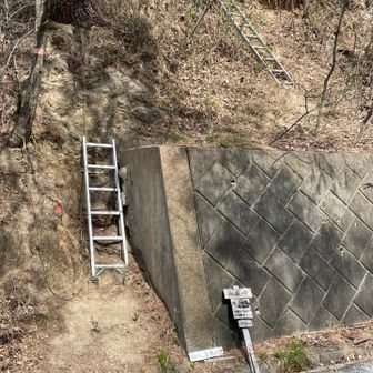 一旦ロードを横切ると🪜