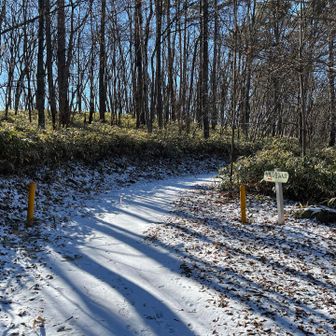 赤岩峠に戻り、王城山へ