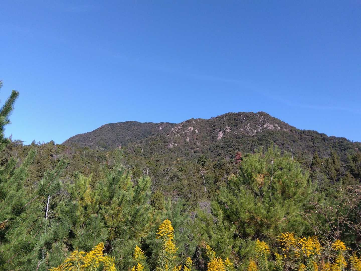 小田山が良く見えます。