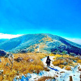 Y.narimi_0901