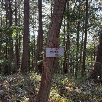 【野村山】この付近で🐻いたらしいです😰