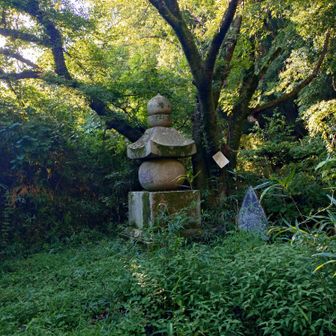 五輪塔、いつも思いますが昔の人はこれをどう作ったのかな？でどう重ねたんだろう😯
