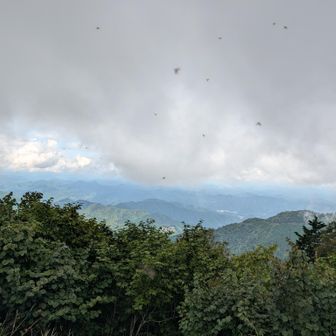小さい虫が凄いので
すぐに下山します