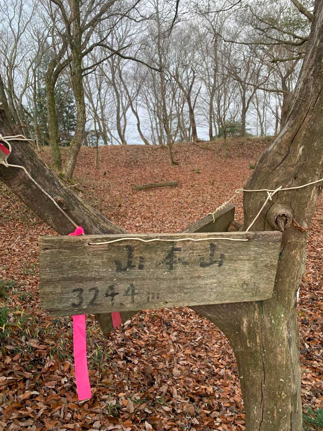 山本山-熊野越-西野峠-西野山-湖北丸山-賤ヶ岳-賤ヶ岳登 縦走コースの写真