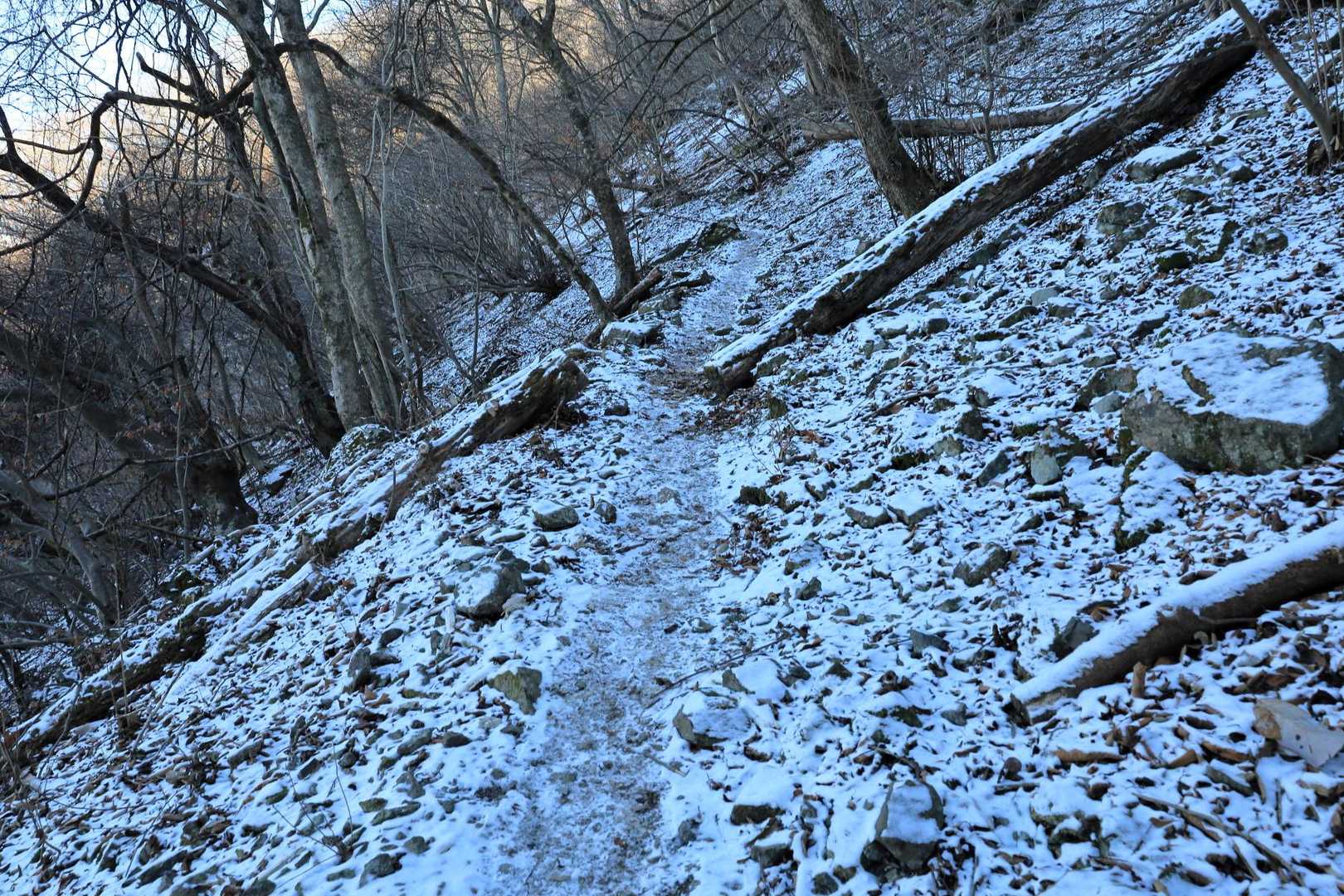 雪がうっすら積もっていますが、チェーンスパイクは不要でした。