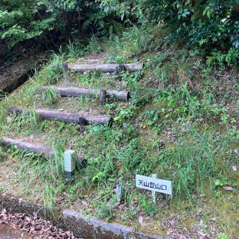 希望ヶ丘内を移動して登山口