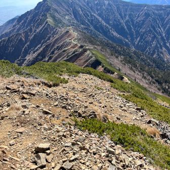 ザクザク降って布引山。足元の浮石と雷鳥には要注意。