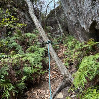ロープを頼りに降る。