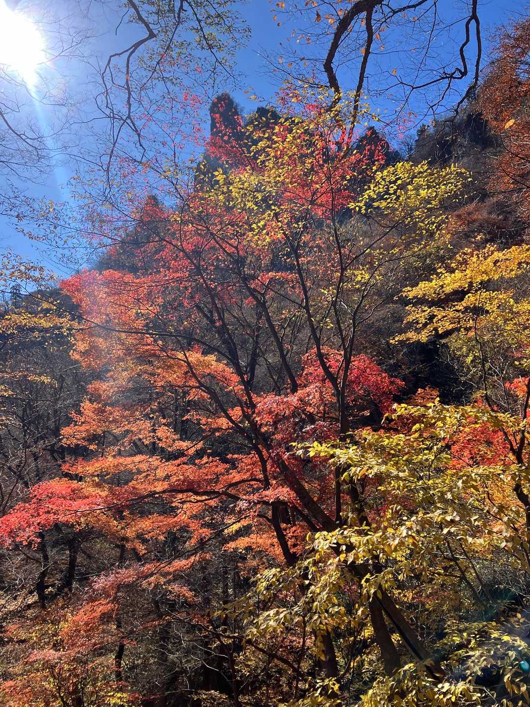 中之嶽神社登山口-石門入口-石門広場-天狗のひょうてい-鷹 周回コースの写真
