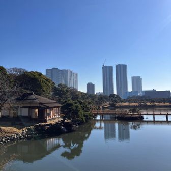 かわいらしいピーク（丘）が沢山ありました。
周りのビルの方が高いね。

東京の経済力って圧倒的でビビる。
インフラの密度と完成度。
美術館、ライブ、スポーツ、歴史、さまざまなアクティビティが日常に溶け込んでる。

止まらないインフラ、溢れるほどの文化体験の一方で、自分たちの日常が置き去りになってるようでちょっと切ない。