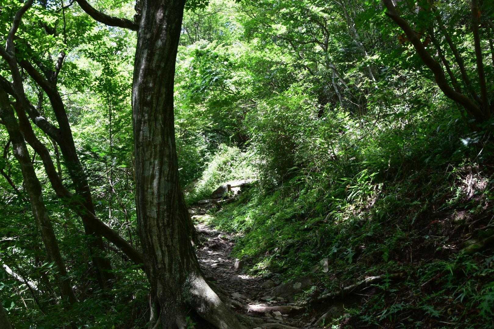 股関節が痛い😓やばい