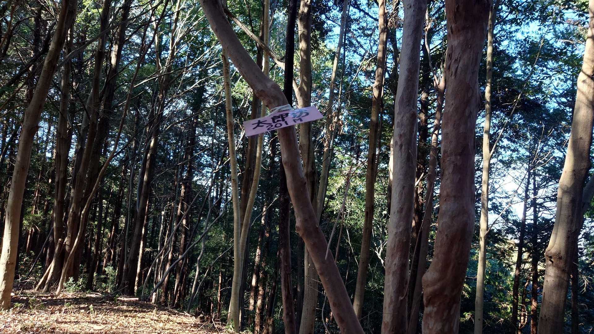 こっちにも太郎坊