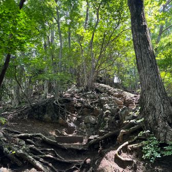 しかし山頂直下の、ここは激下りだったぁ💦