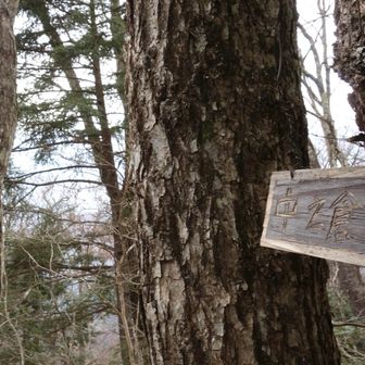 お腹が空いたので
風がない山頂でランチタイムに