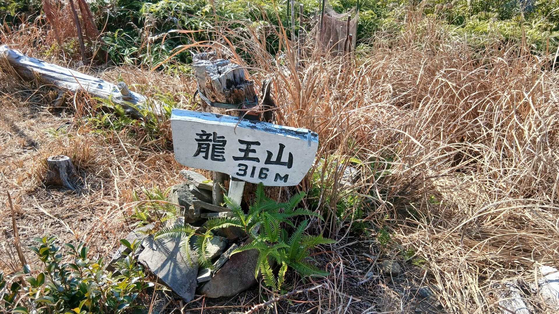 龍王山山頂に到着