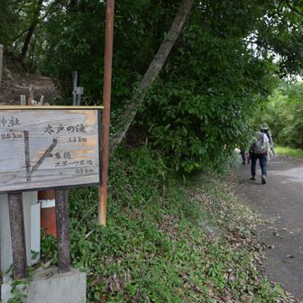 スポーツ広場まで登り返します。