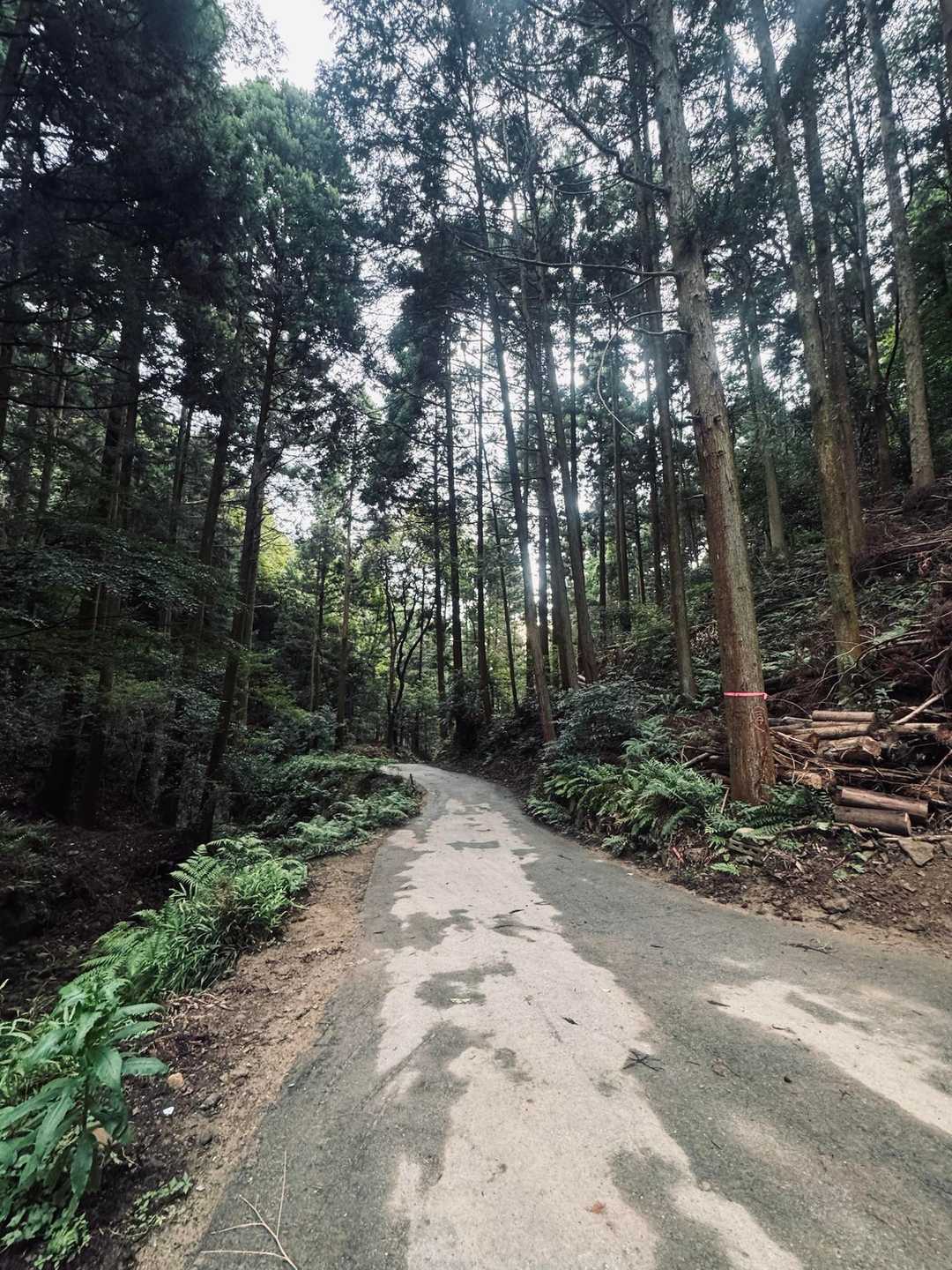 阿坂城跡登山口-桝形山 周回コースの写真