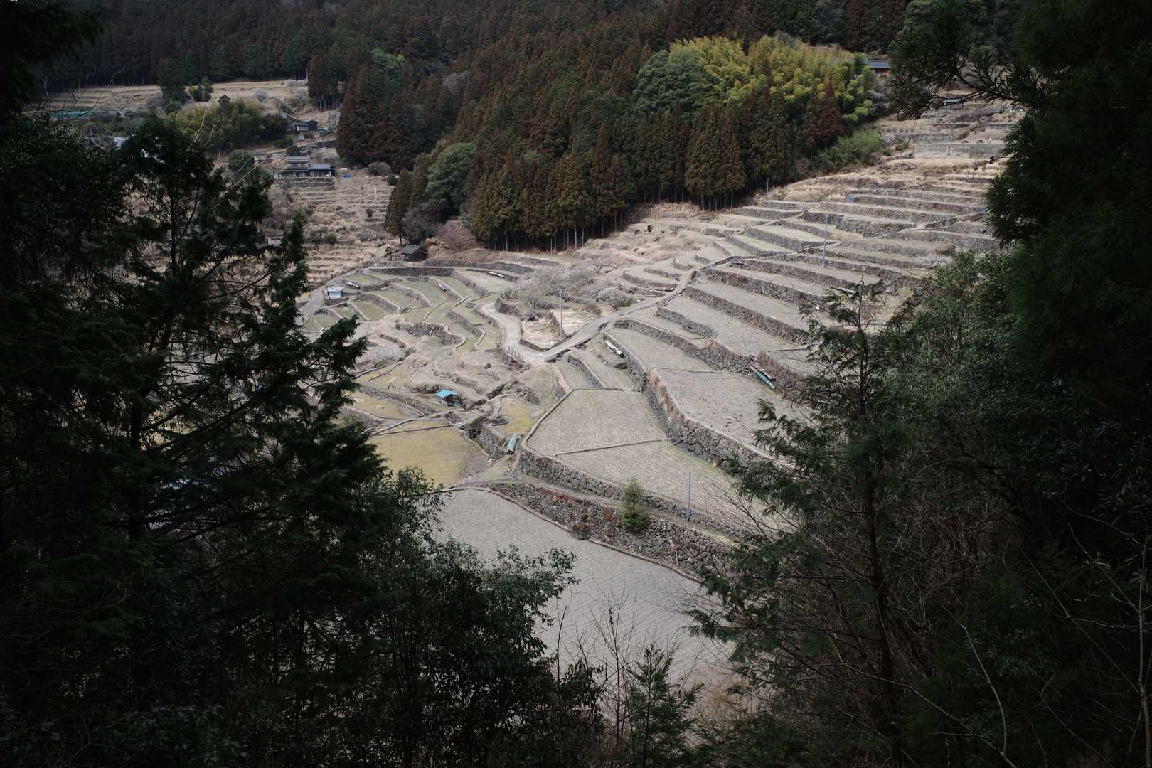 仏坂峠-鞍掛山-かしやげ峠 縦走コースの写真