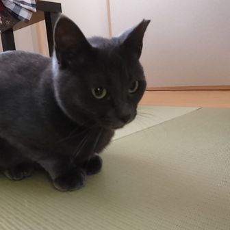 KAZUKI