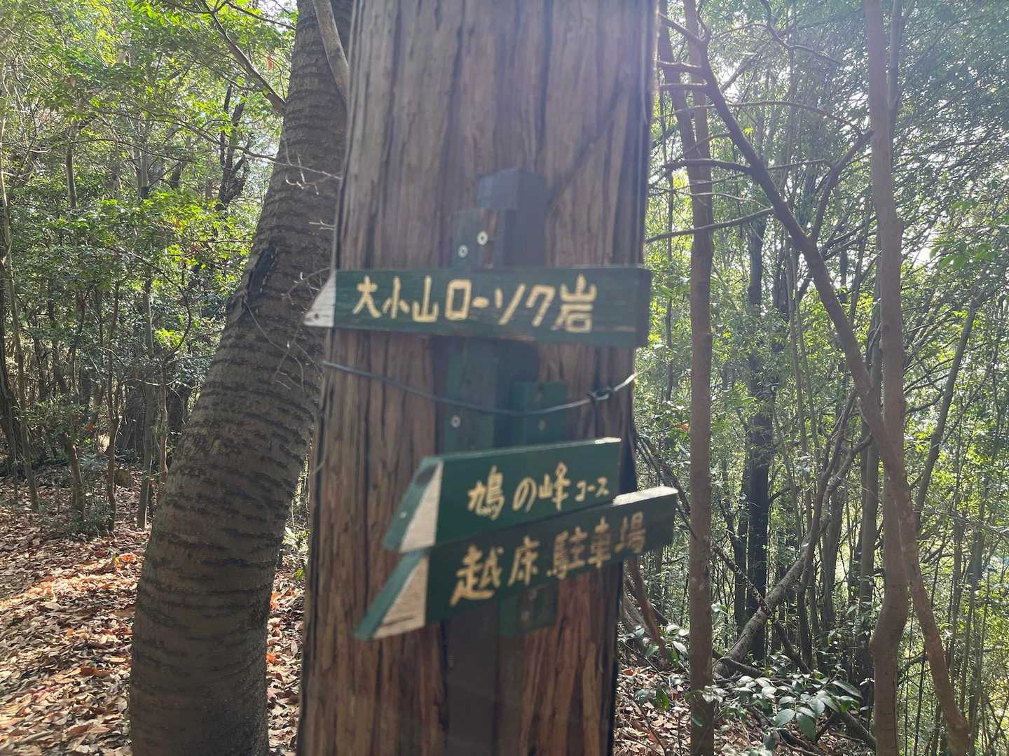 手作りの標識がかわいい