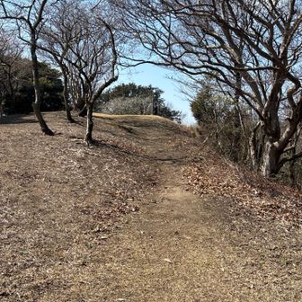 山頂が見えてきました