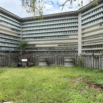 中庭がこのようになっています。