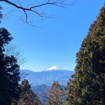 富士子を見ながら…