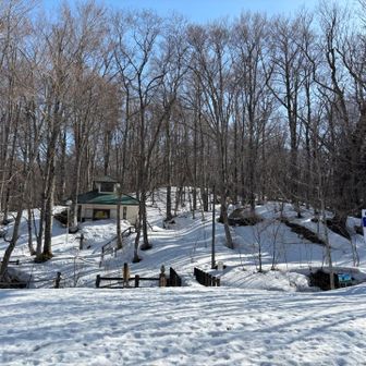 キャンプ場はこんな感じ