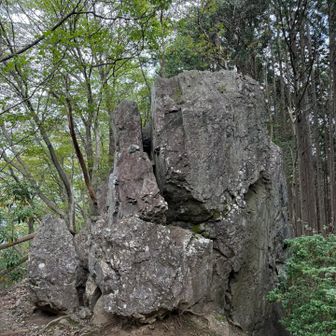 岩茸岩