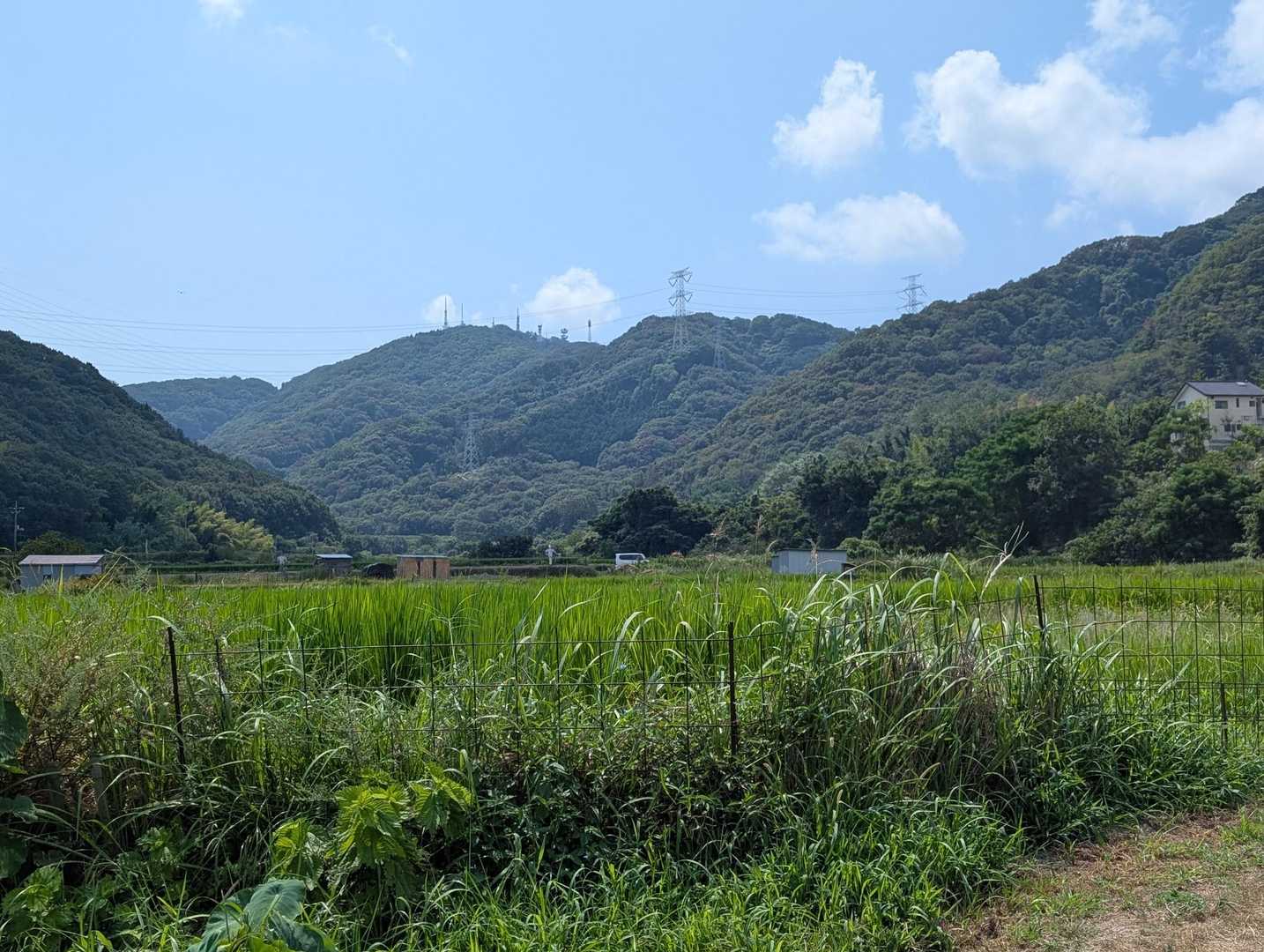 麓に下りて見上げた金甲山🫡