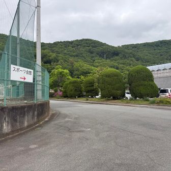 緑が丘スポーツ公園駐車場が見えてきた🅿️
