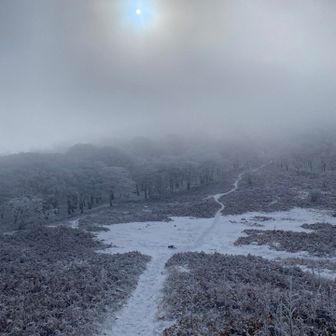 次の目的地へ。
濃霧だけど晴れるでしょう！