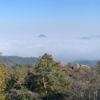 まだまだ雲海
三上山からの景色も良さそう