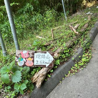 車道をしばらく進みます🚶‍➡️