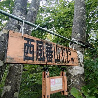 ならいばんざん


AI解説
「ならい」は特定の厳密な方位を指す言葉ではなく、「冬に一定方向へ吹き抜ける性質の風」を意味していました。そのため地域によって北西・西の風（千葉県銚子など）を指すこともあれば、東北・北東の風を指すこともあり、それが「西風」や「東北風」といった漢字表記で表されるようになりました。