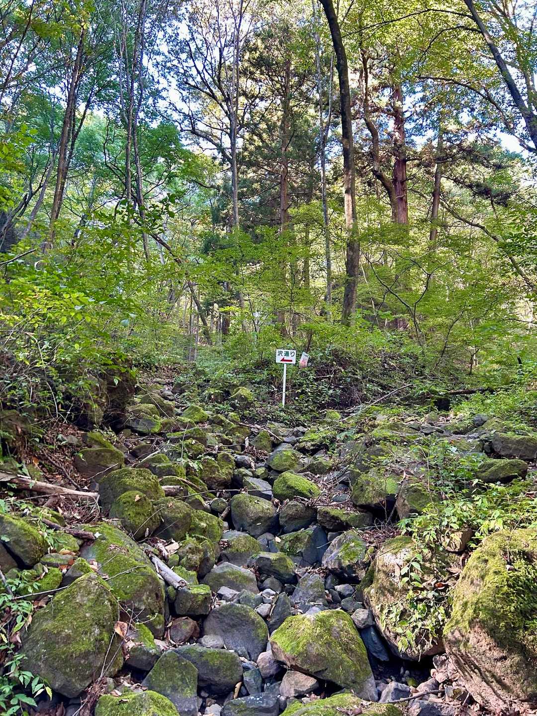 岩櫃山登山口-岩櫃山 周回コースの写真