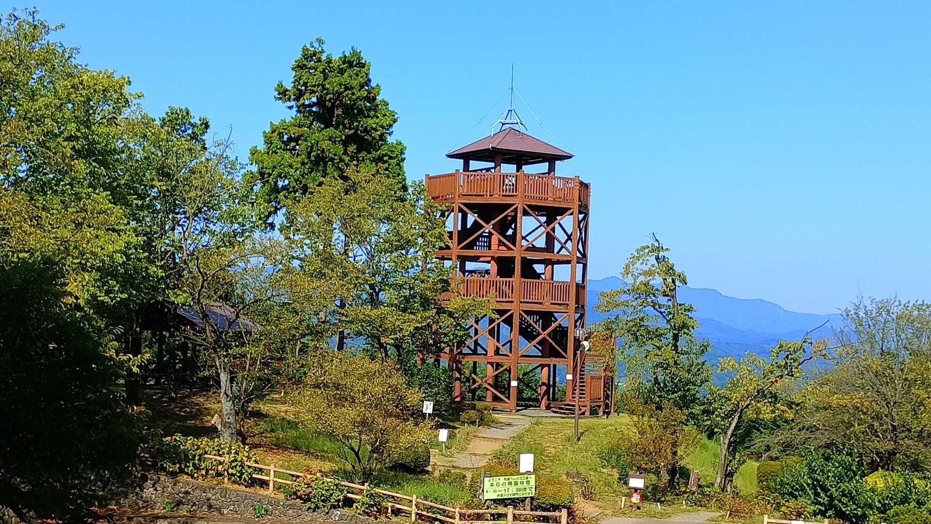 仙元山-城山 往復コースの写真